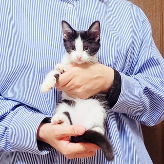 ぬいぐるみみたいな可愛さ♡ひめちゃん