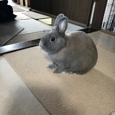 ゆきちゃん久しぶり