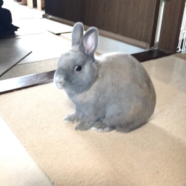 6歳　やんちゃ