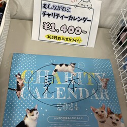 保護猫の譲渡会 サムネイル3