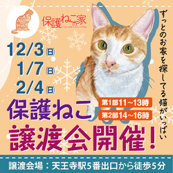 保護ねこの家譲渡会 in 天王寺