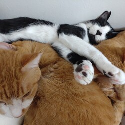 くつろぐ浩太君