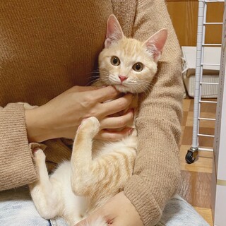 兄妹揃って超美形です(^^)
