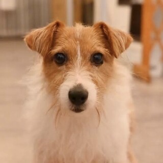 フレンドリーで人が大好きな愛らしい女の子♡