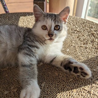 健やかに成長中です