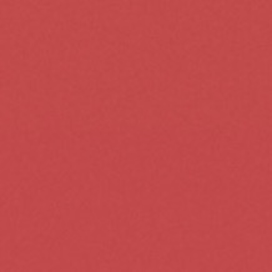 クロのカバー写真