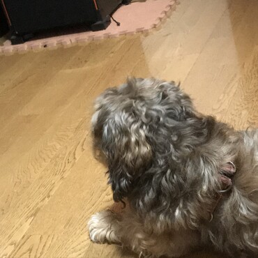 8歳の頃です