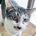 男前だけど、実は控えめ甘えん坊の海老蔵くん♡