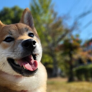 募集一時停止中です遊ぶの大好きな冬子