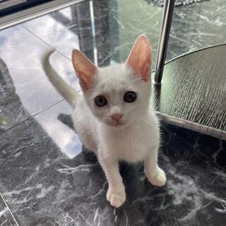 瀕死状態の時もずっと一緒に寄り添っていた姉妹です。