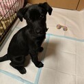 調整中のため一旦ストップさせていただきます。