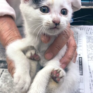 ※2023.11.8現在おうちが決まりました。