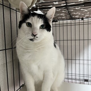 ෆ⃛おとなしい性格ෆ⃛モーちゃん