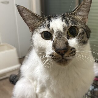 大人しく甘えん坊な男の子