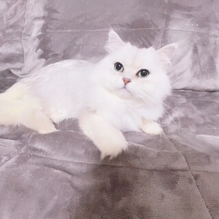 おっとりまったりなオンマイウェイの優しい子