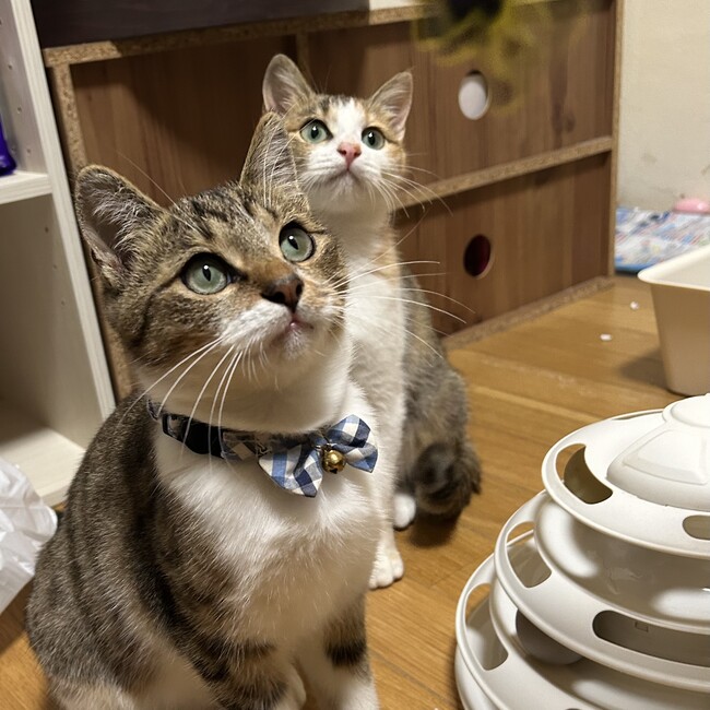 noa0613のカバー写真