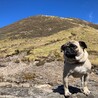 三俣山登りました