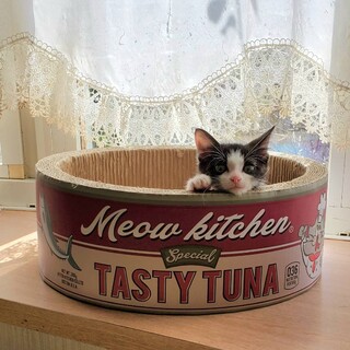 譲渡決定となりました。有り難うございます。