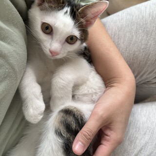 ステキな家族が見つかりました☆ところてん