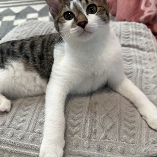 素敵な家族が見つかりました☆こんにゃく君