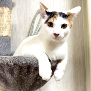 2023年4月生まれ 元気なつや姫ちゃん