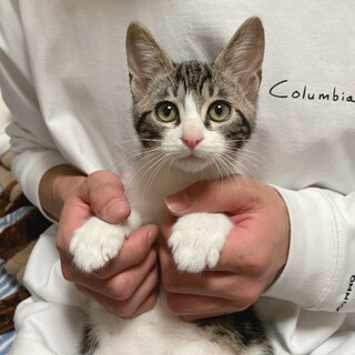 [お見合い歓迎]みなとくん♥︎