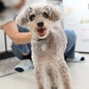 病気に負けず赤い糸を信じて家族募集しています！ サムネイル3