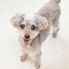病気に負けず赤い糸を信じて家族募集しています！ サムネイル4