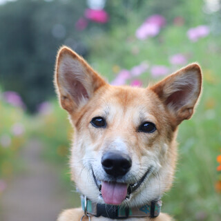 【明るくてフレンドリーなマッティー】