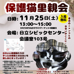ひたちまちにゃか保護猫里親会