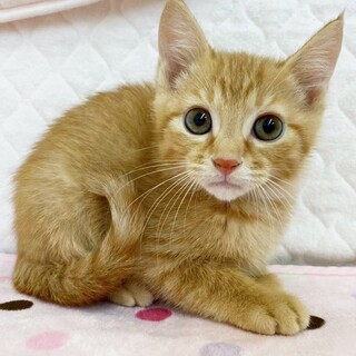 まん丸お目目の小顔イケメン！約1ヶ月半