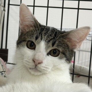 11/5赤羽♡可愛いみかんちゃん♡☆彡