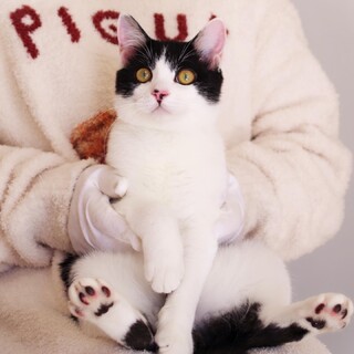 甘えんぼでおひさの上が大好き☆うなくん