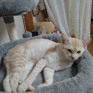 2023年4月26日生まれ。仮名：ミルティー