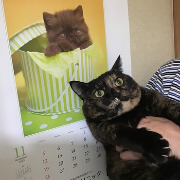 うにちゃん、１１歳のお誕生日おめでとう