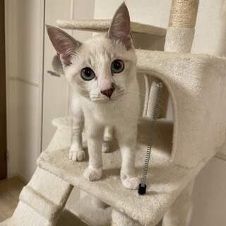 御家族募集中！！