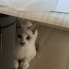 御家族募集中！！ サムネイル4