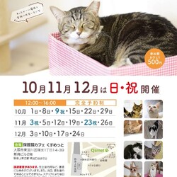 193回　保護猫カフェQsmet（くすめっと）　定例里親譲渡会