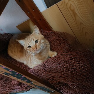 怖がりだけど甘えん坊な男の子