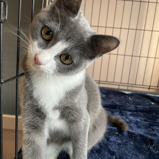 素敵なご夫妻の子になりましたとても美人さんな女の子