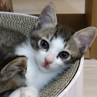 6兄妹♡天真らんまん♡サツマイモくん♡