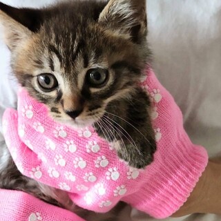 6兄妹♡1番おっとり♡どんぐりくん