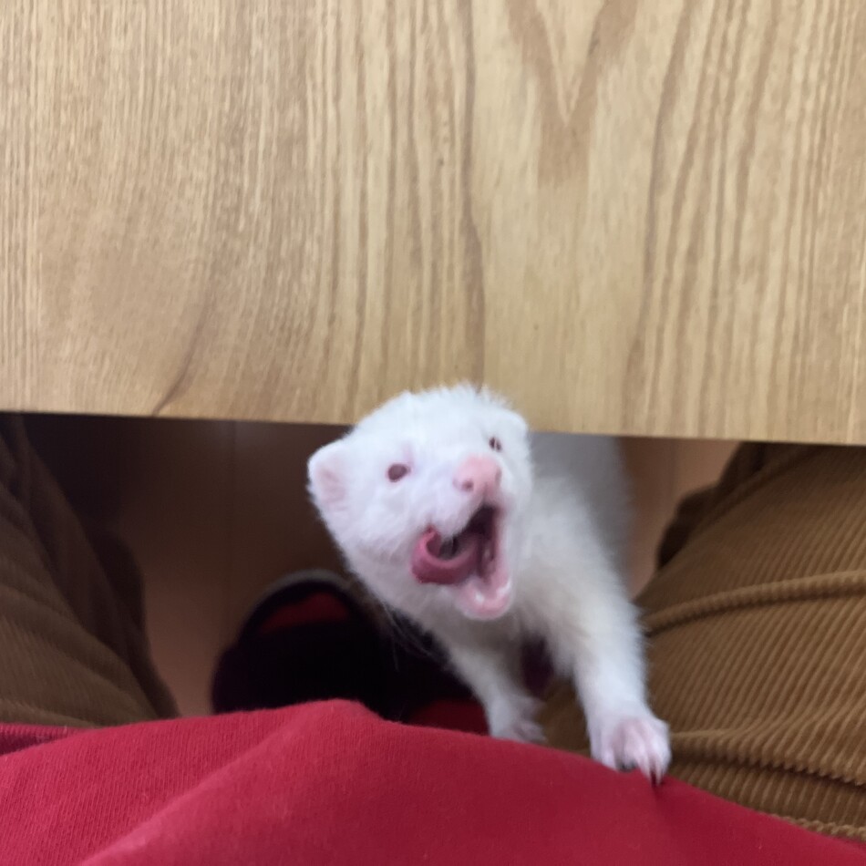 マルのカバー写真