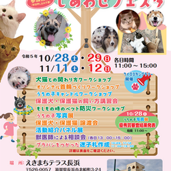 【ラブピーキャット参加！】いぬ・ねこ・にんげん しあわせフェスタ サムネイル2