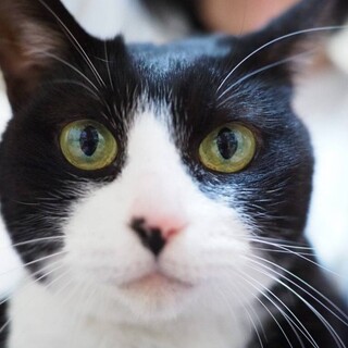 好奇心旺盛で活発な女の子❤︎ミー子ちゃん