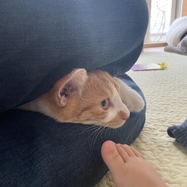 足の隙間もだいすき