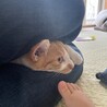 足の隙間もだいすき