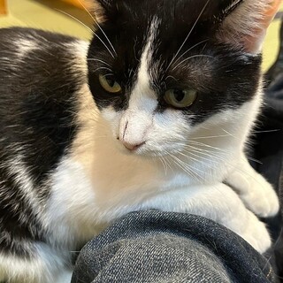 マイペースでおっとりななっちゃん♪