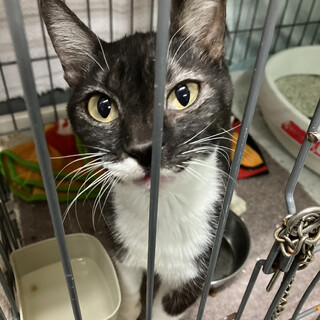 トライアル中　人懐っこ女子❤️みなみ