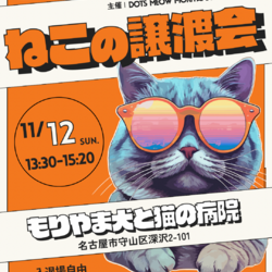 ▼猫の譲渡会▼名古屋市守山区